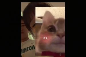 女网友晒与王俊杰遮脸合照评论区沦陷 网友猜测是其女友但被否认